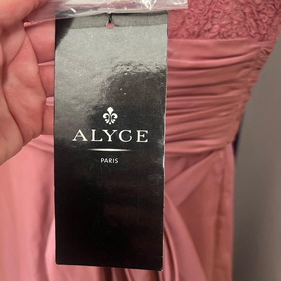 Alyse Paris Prom Bridesmaid Dress NWT - Picture 9 of 15